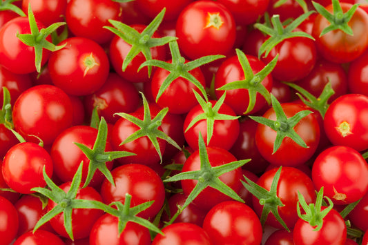 Red Cherry Tomato Planter