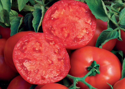 Beefsteak Tomatoes