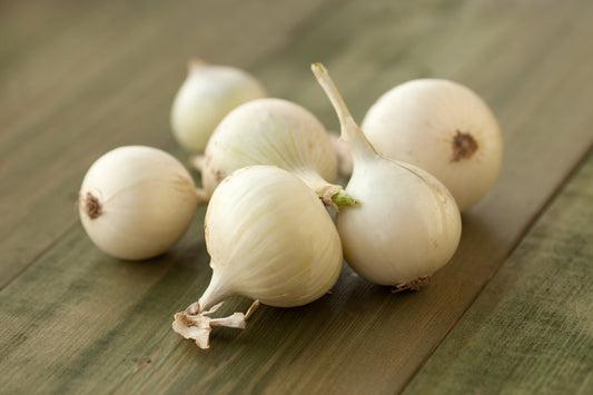 Hardy White Onion