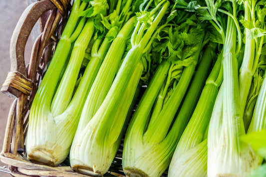 Celery