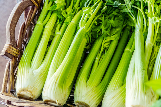 Tango Celery