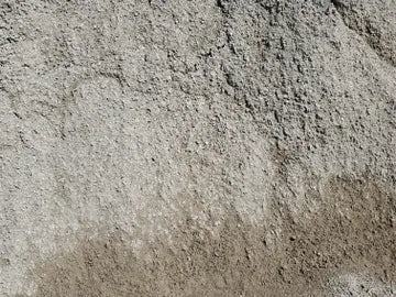 Chips & Dust