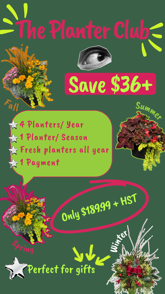 The Planter Club