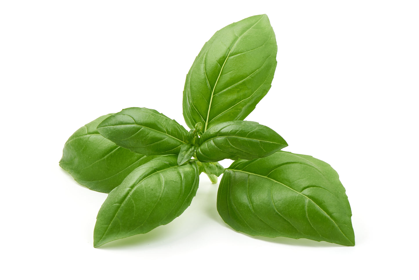 Tri-Basil Bowl