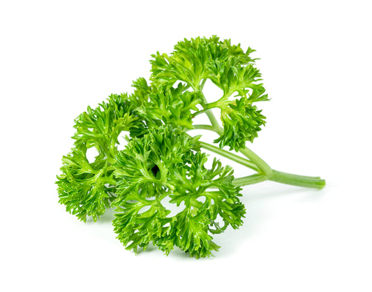 Curly Parsley