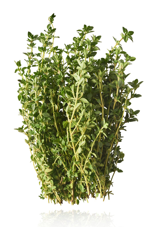 Thyme