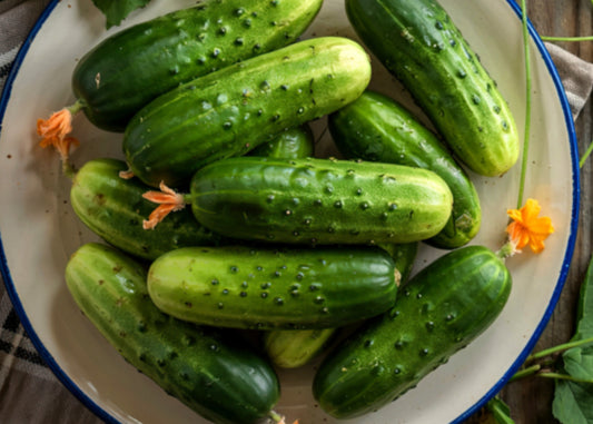Marketmore 76 Sweet Slice Cucumber