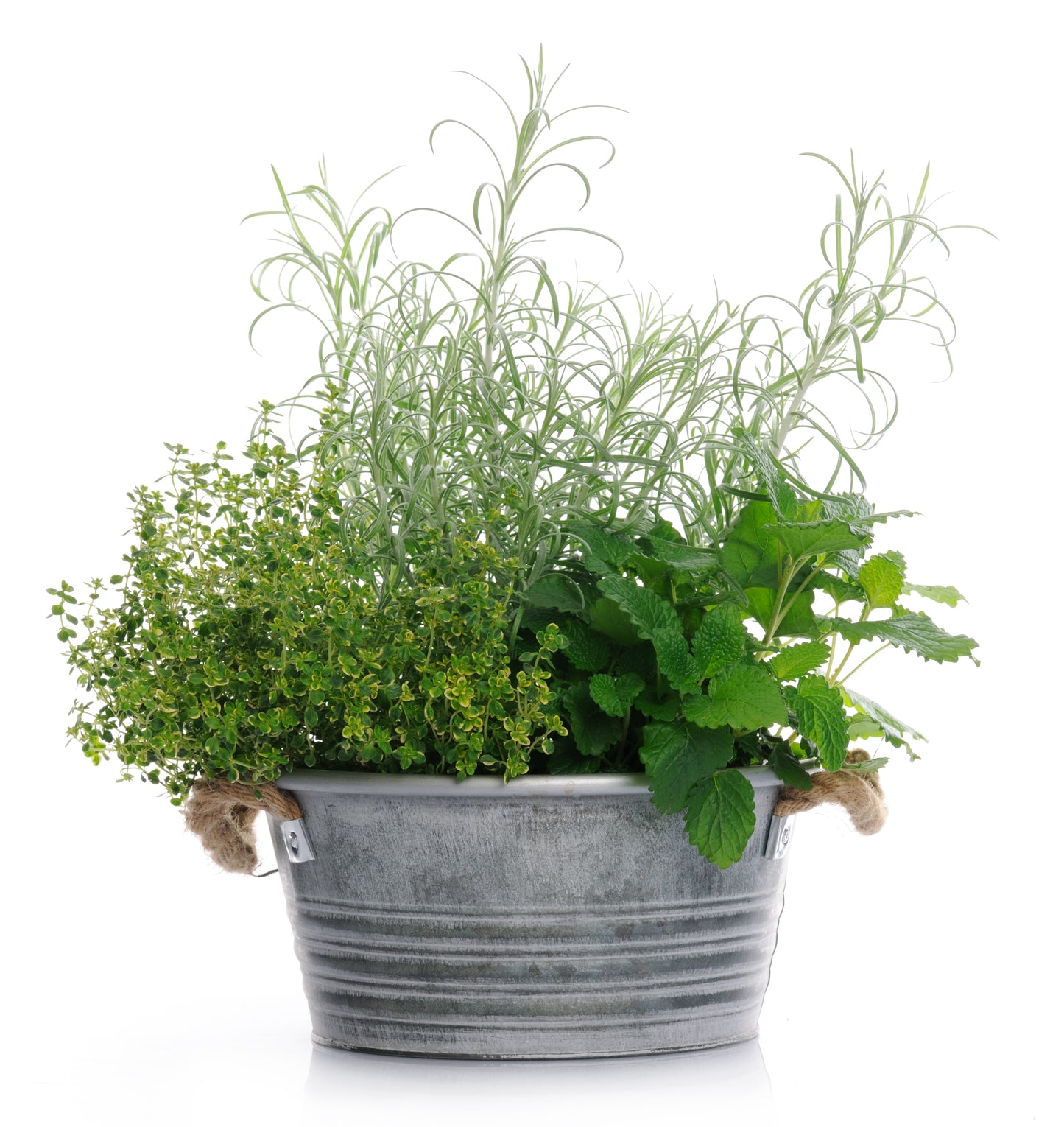 Mixed Herb Planter