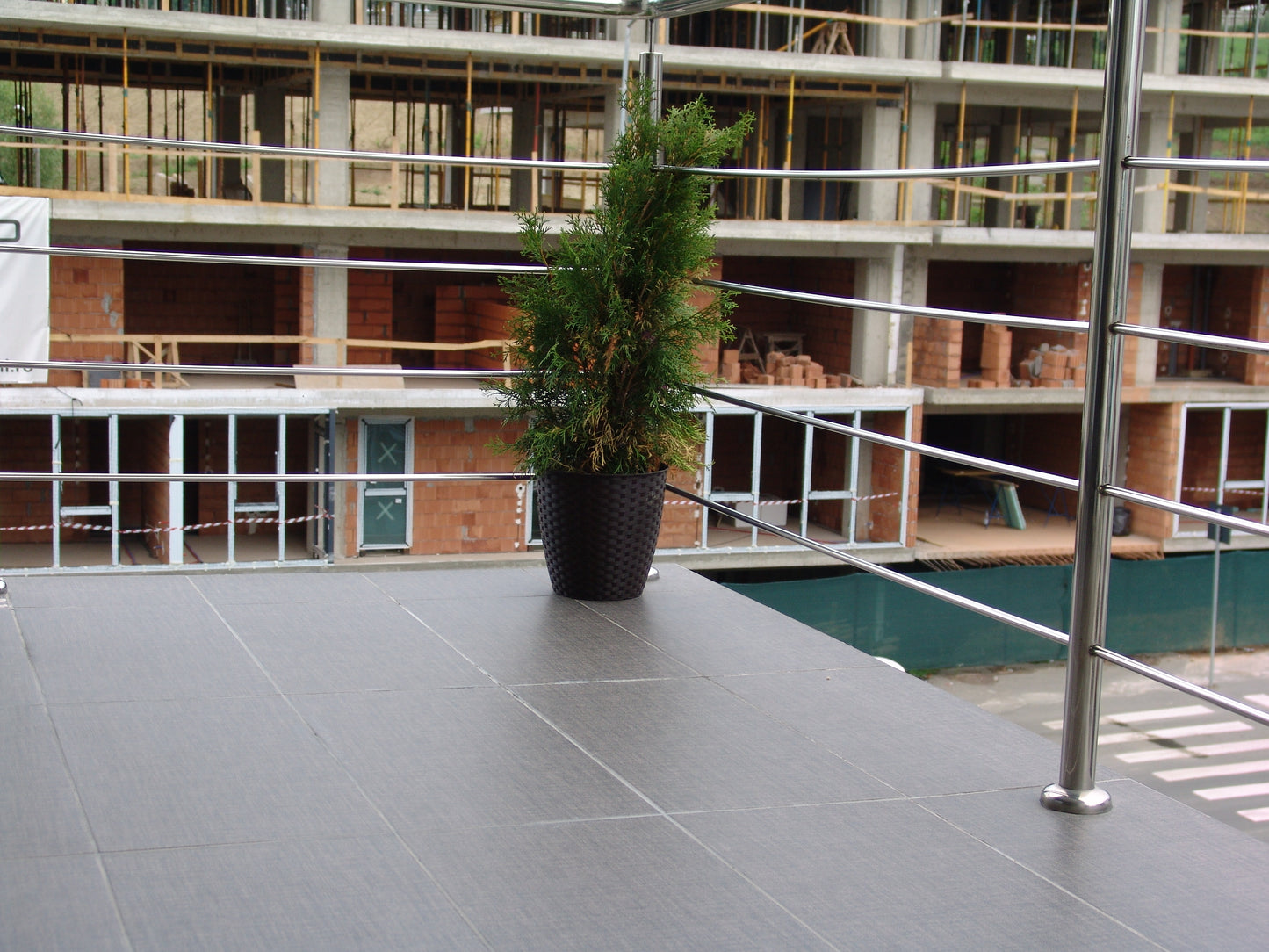 Black Cedar -